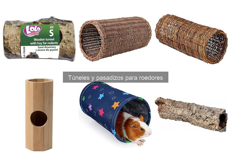 Mantenimiento y limpieza de túneles para roedores