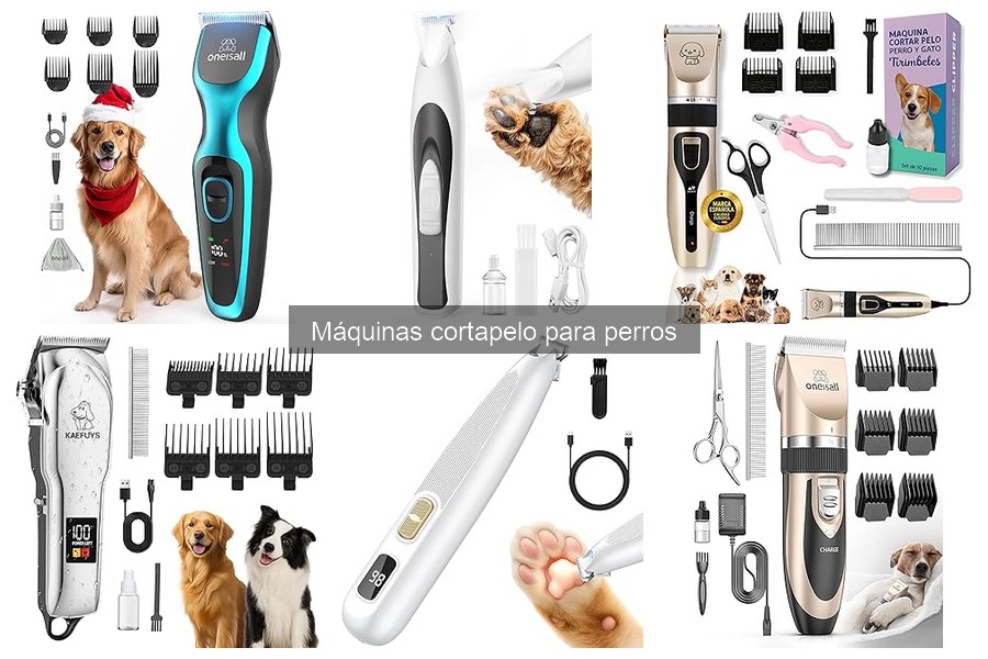 Máquinas cortapelo para perros: características y tipos