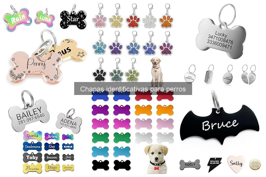 Materiales para Chapas Identificativas de Perros: Guía Práctica