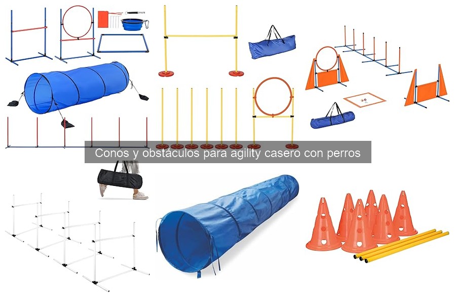 Materiales para hacer conos y obstáculos de agility caseros
