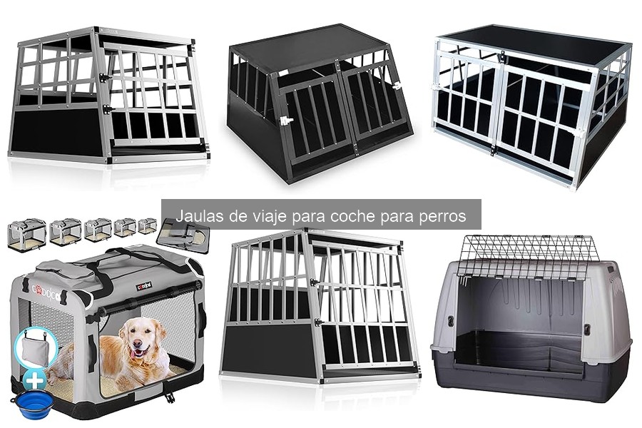 Medidas de seguridad esenciales para jaulas de viaje para perros