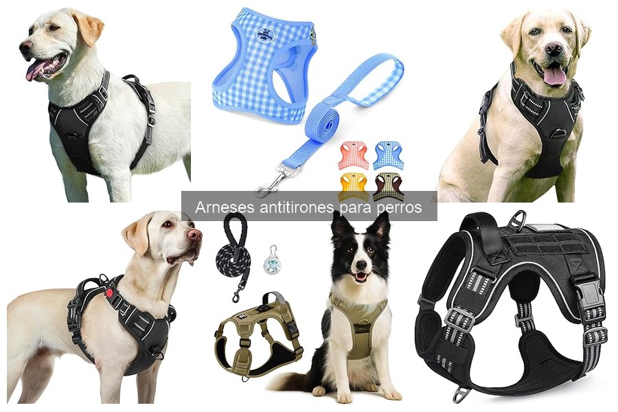 Mejor arnés antitirones para perros grandes | Comparativa 2023