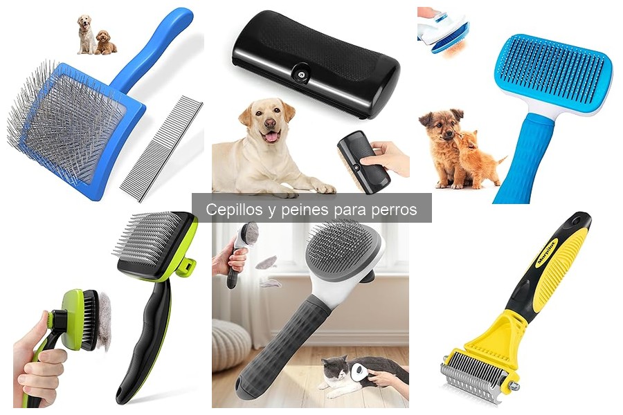 Mejor cepillo para perros con piel sensible: guía de opciones