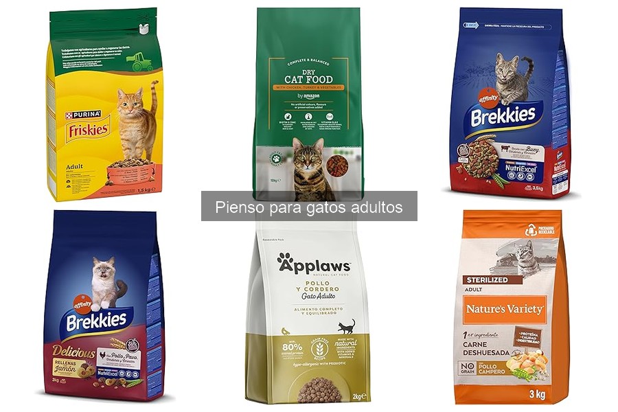 Mejor pienso para gatos adultos: comparativa de marcas