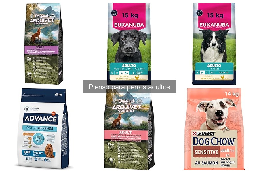 Mejor pienso para perros adultos con alergias alimentarias