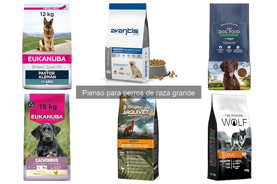 Mejor pienso para perros de raza grande: guía y recomendaciones