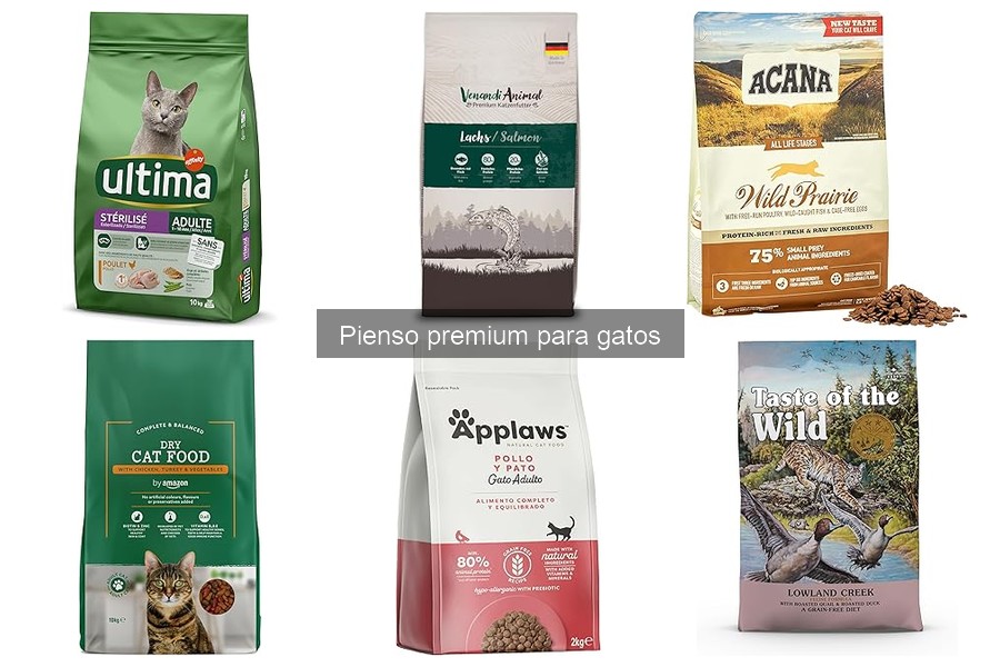 Mejor pienso premium para gatos con sensibilidad alimentaria