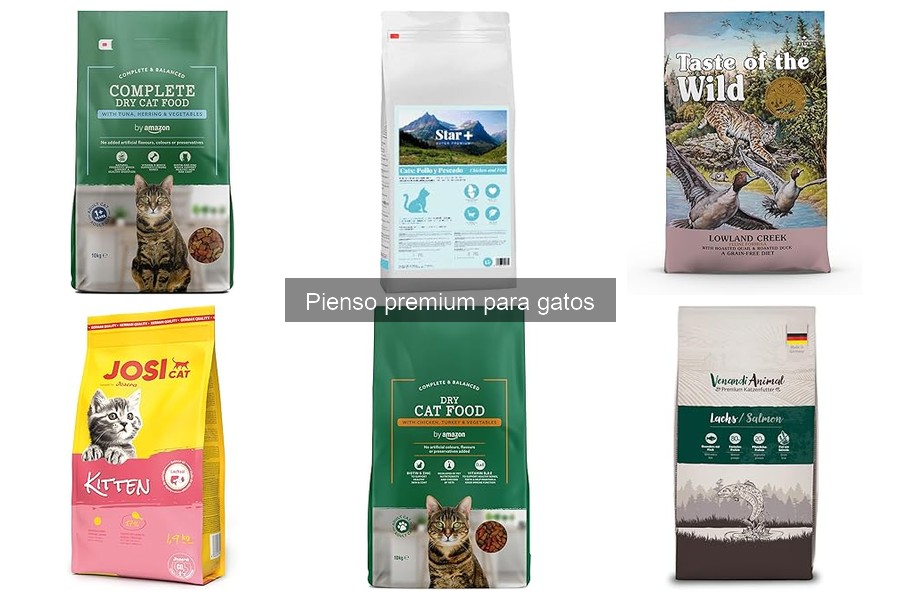 Mejor pienso premium para gatos: guía de selección