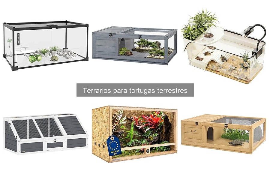 Mejor sustrato para terrarios de tortugas terrestres