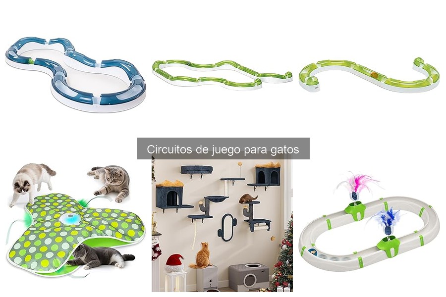 Mejora la Interacción de tu Gato con Circuitos de Juego