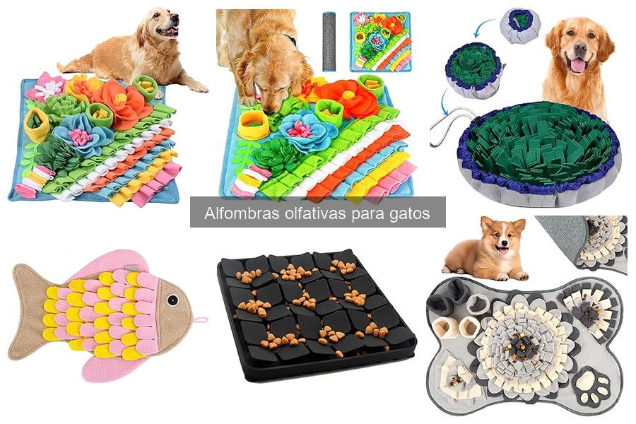 Mejores alfombras olfativas para gatos en 2023