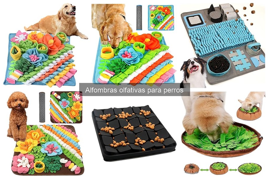 Mejores alfombras olfativas para perros grandes en 2023