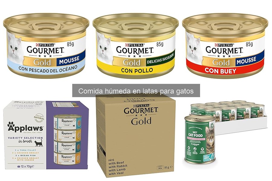 Mejores alimentos húmedos enlatados para gatos con alergias