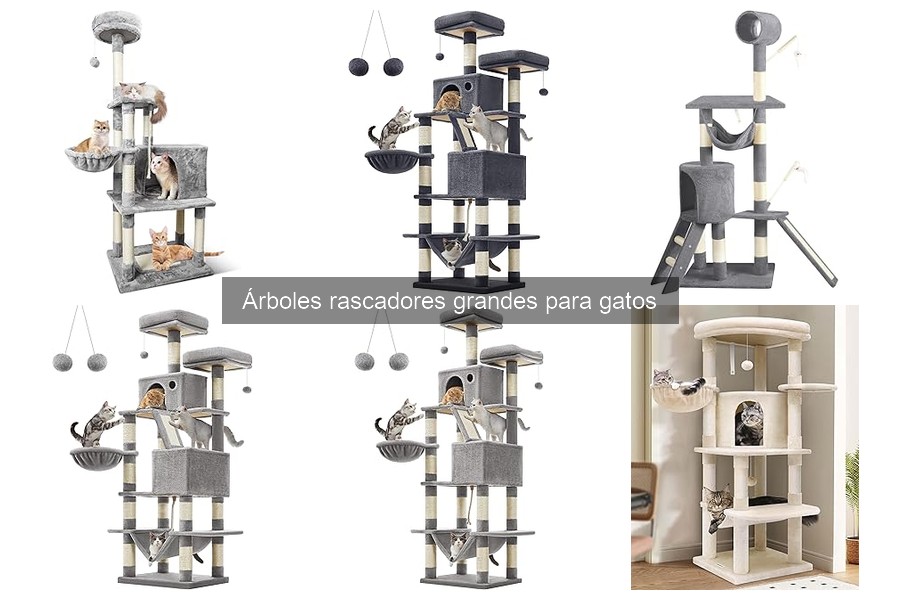 Mejores Árboles Rascadores Grandes para Gatos en 2023