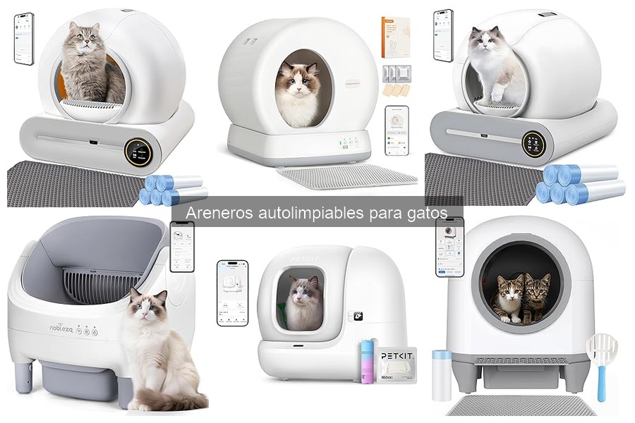 Mejores areneros autolimpantes para gatos en 2023