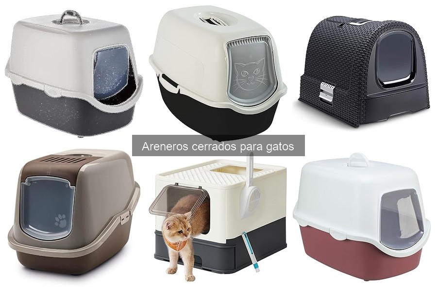 Mejores areneros cerrados para gatos en 2023: comparativa