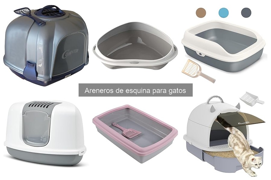 Mejores areneros de esquina para gatos en 2024