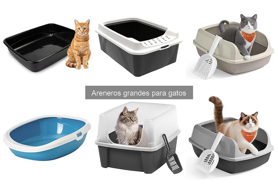 Mejores areneros grandes para gatos en 2023: comparativa