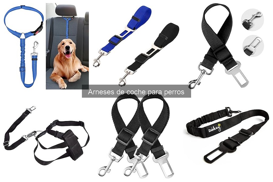 Mejores arneses de coche para perros grandes y seguros