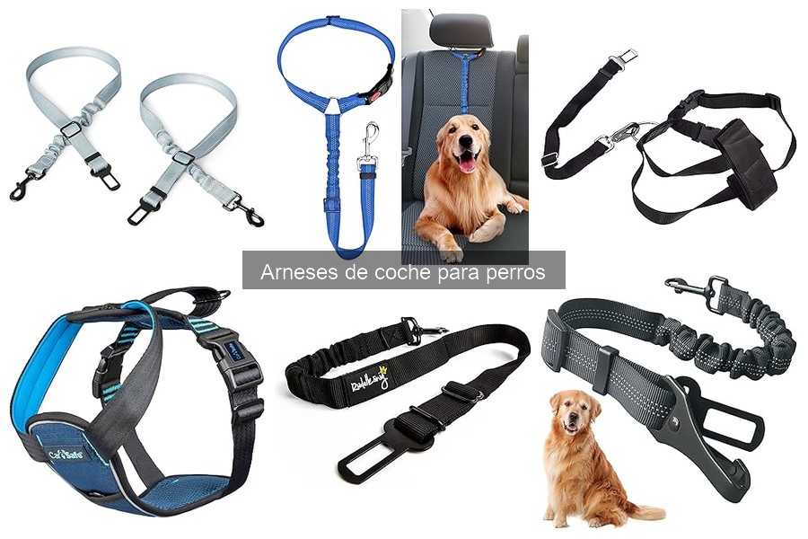 Mejores arneses de coche para perros pequeños en 2023