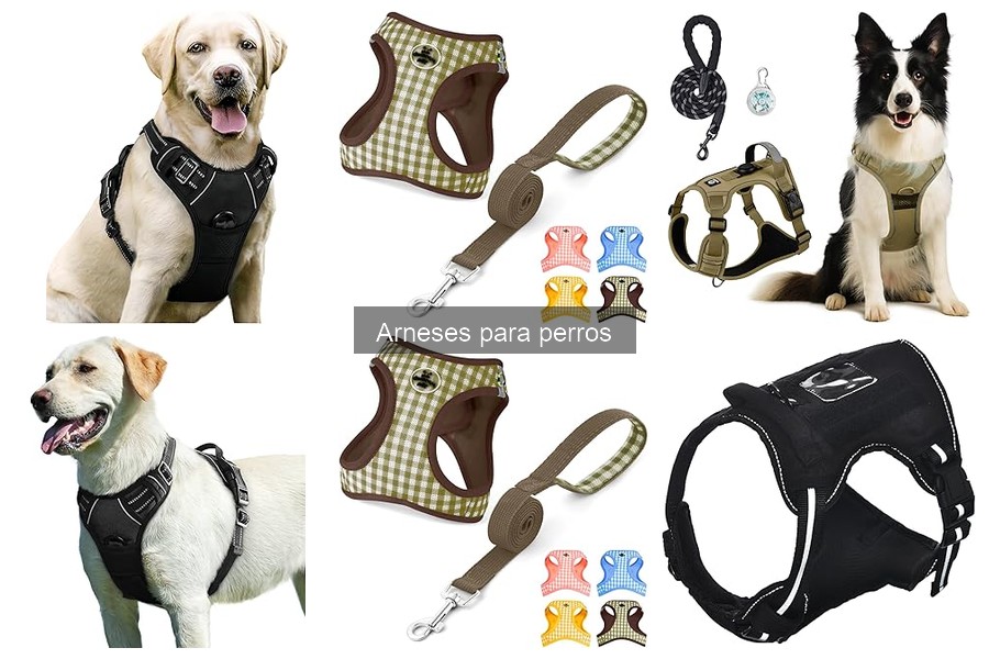 Mejores arneses para perros con problemas de comportamiento