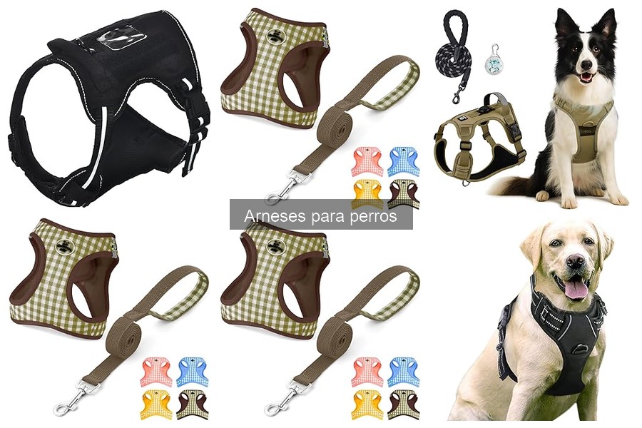 Mejores arneses para perros pequeños: Guía de compra