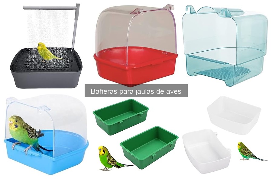 Mejores bañeras para aves según su especie: Comparativa 2023