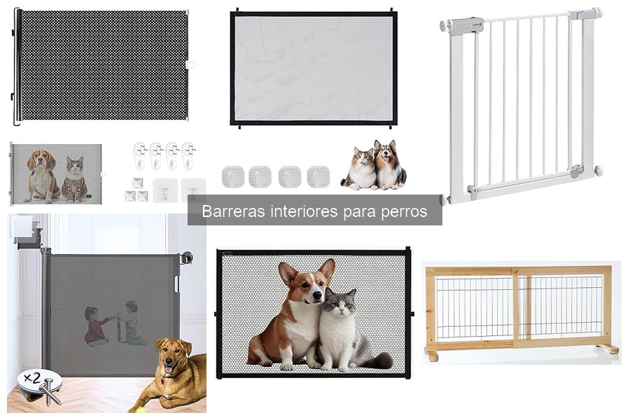 Mejores barreras interiores para perros en 2023