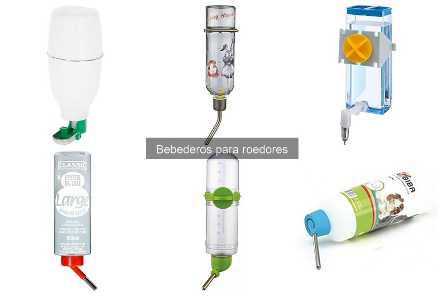 Mejores bebederos para diferentes tipos de roedores
