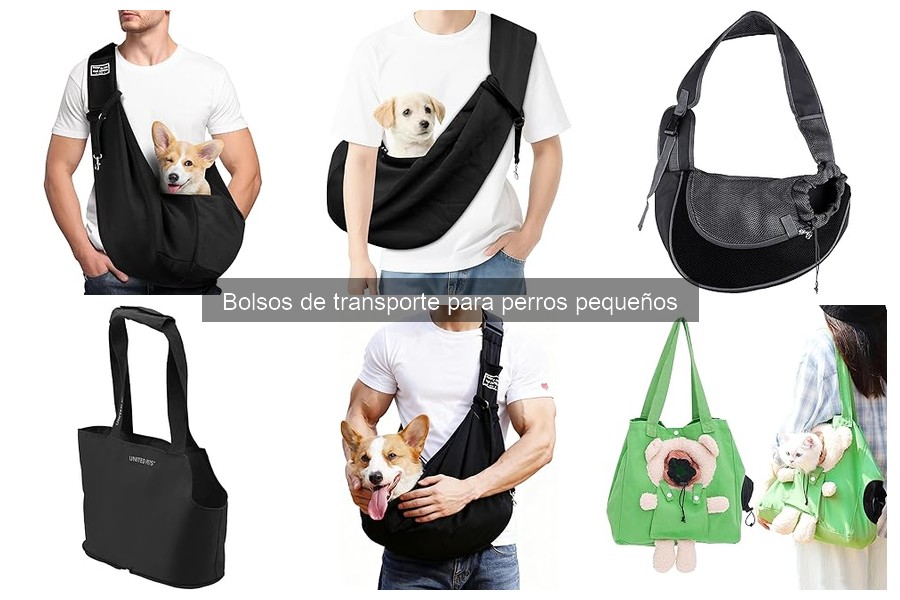 Mejores bolsos de transporte para perros pequeños en 2023