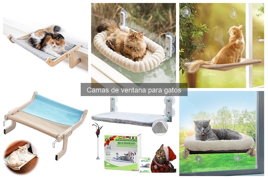Mejores camas de ventana para gatos: opiniones reales