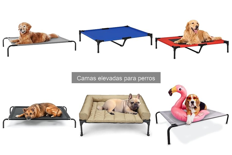 Mejores camas elevadas para perros grandes en 2023