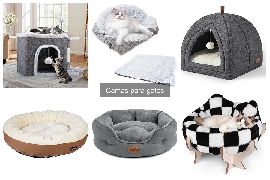 Mejores camas para gatos según su tamaño: comparativa 2023