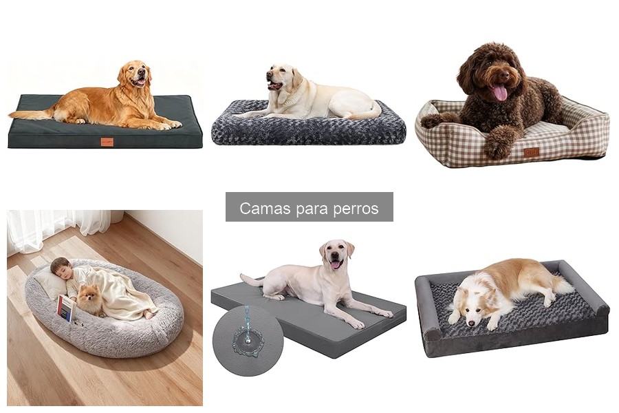 Mejores camas para perros pequeños: comparativa 2023