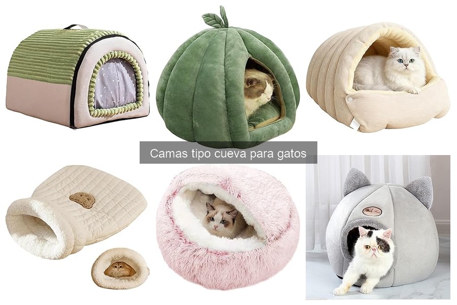 Mejores camas tipo cueva para gatos en 2023