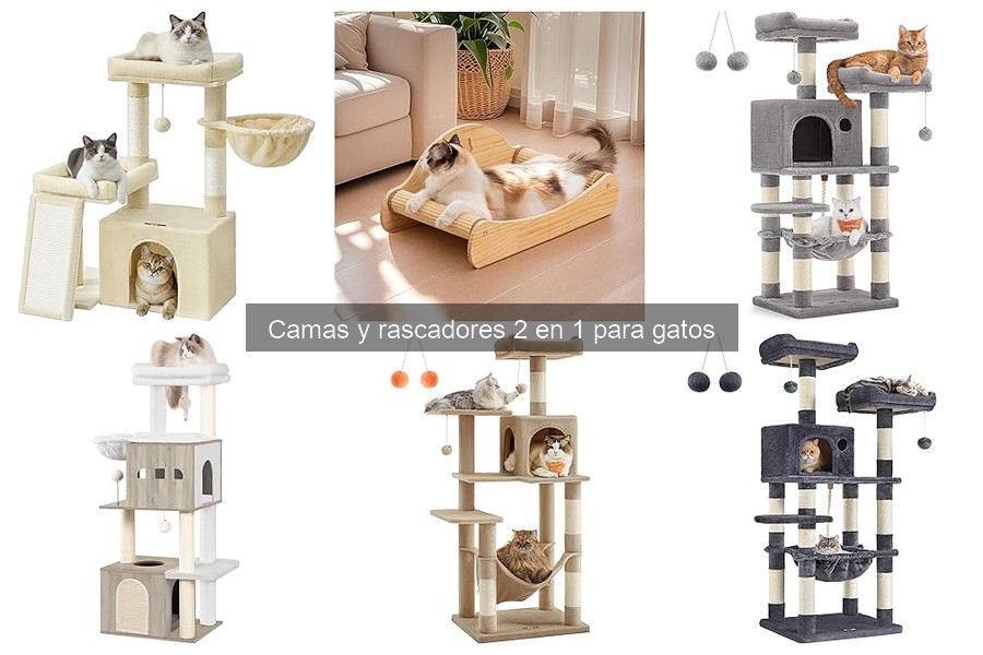 Mejores camas y rascadores 2 en 1 para gatos en 2023