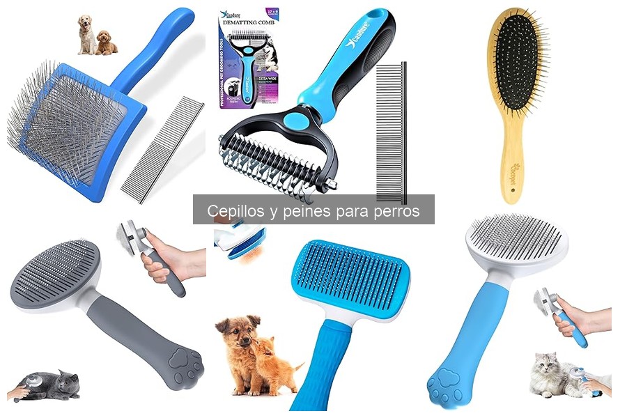 Mejores cepillos para perros en Amazon: Reseñas y opiniones