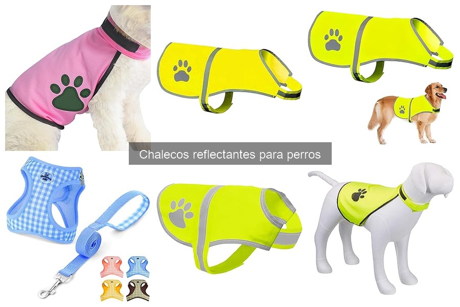 Mejores chalecos reflectantes para perros pequeños