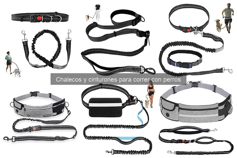 Mejores chalecos y cinturones para correr con perros