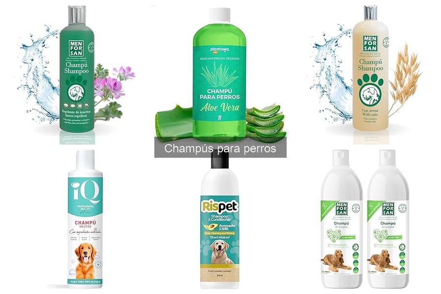 Mejores champús hipoalergénicos para perros con alergias
