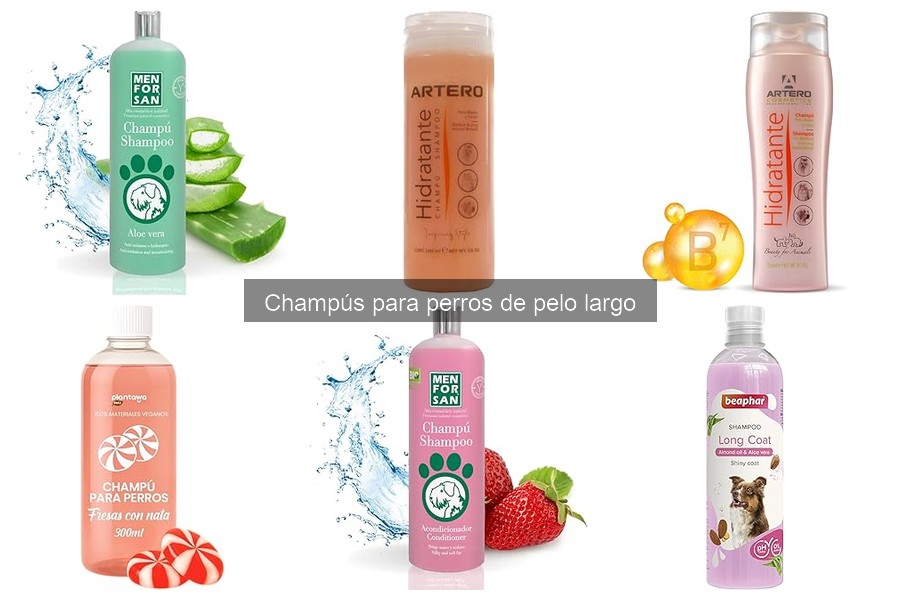 Mejores champús para eliminar enredos en perros de pelo largo