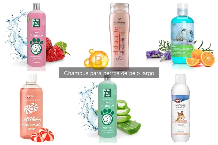 Mejores champús para perros de pelo largo según veterinarios