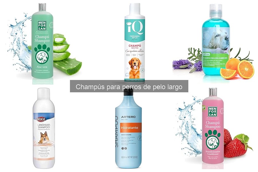 Mejores Champús para Perros de Pelo Largo sin Olor