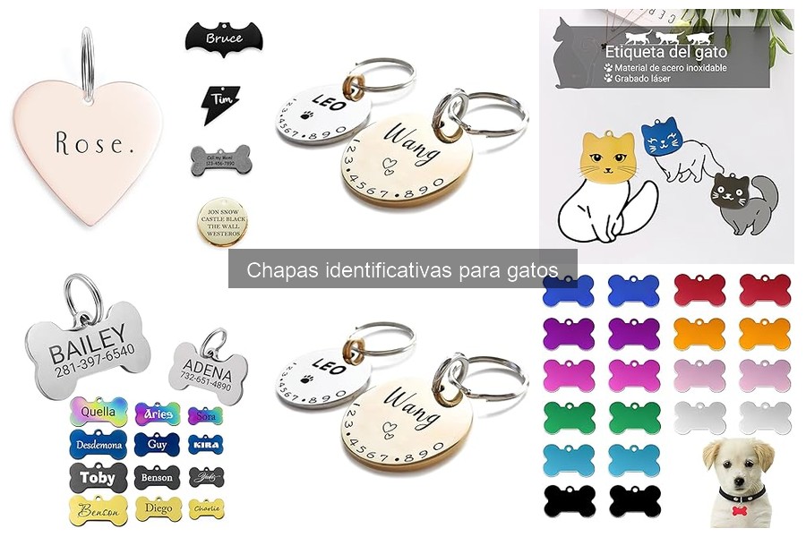 Mejores chapas identificativas para gatos según su situación