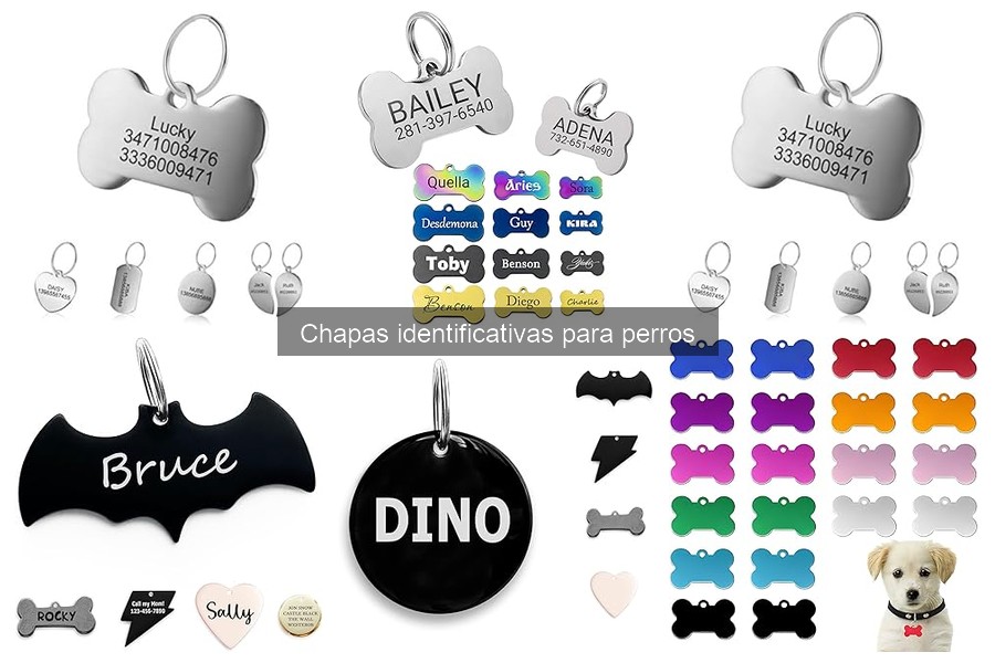 Mejores chapas identificativas para perros grandes en 2023