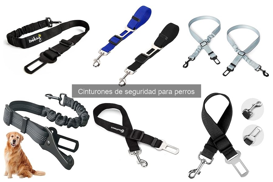 Mejores cinturones de seguridad para perros grandes en 2023