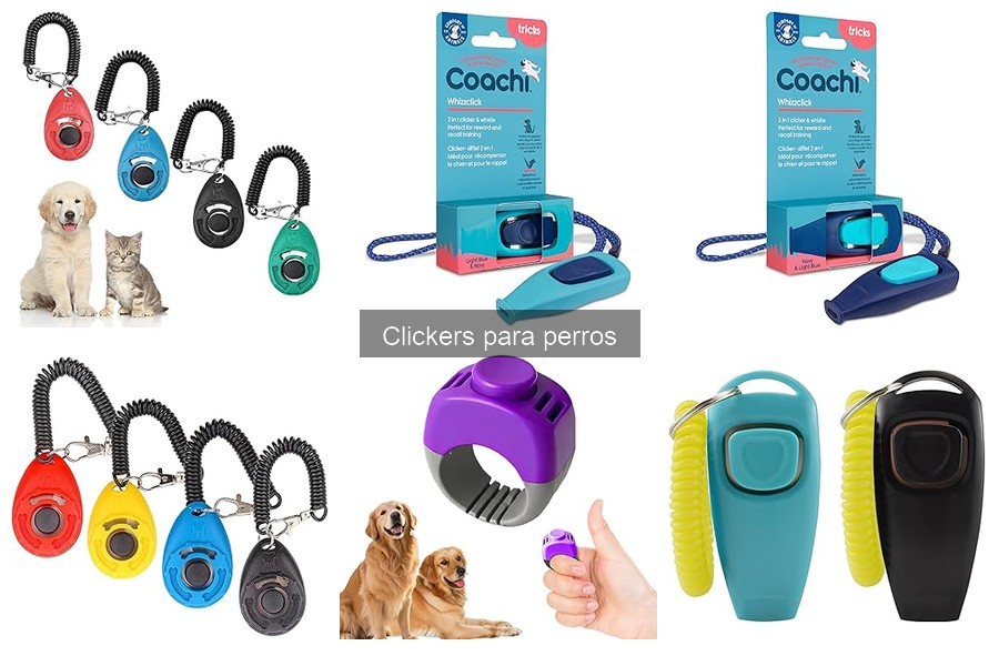 Mejores clickers para el entrenamiento de perros jóvenes
