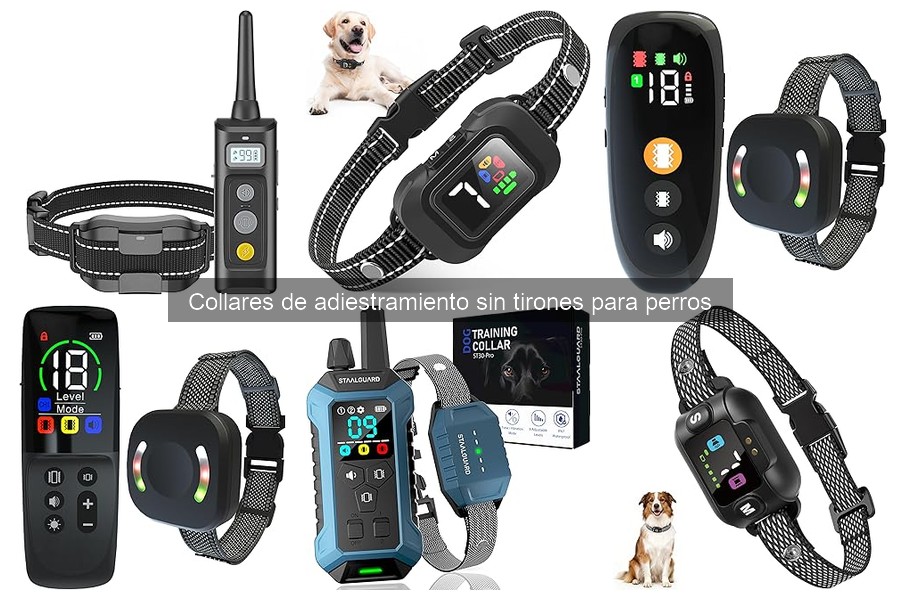 ** Mejores collares de adiestramiento sin tirones para perros