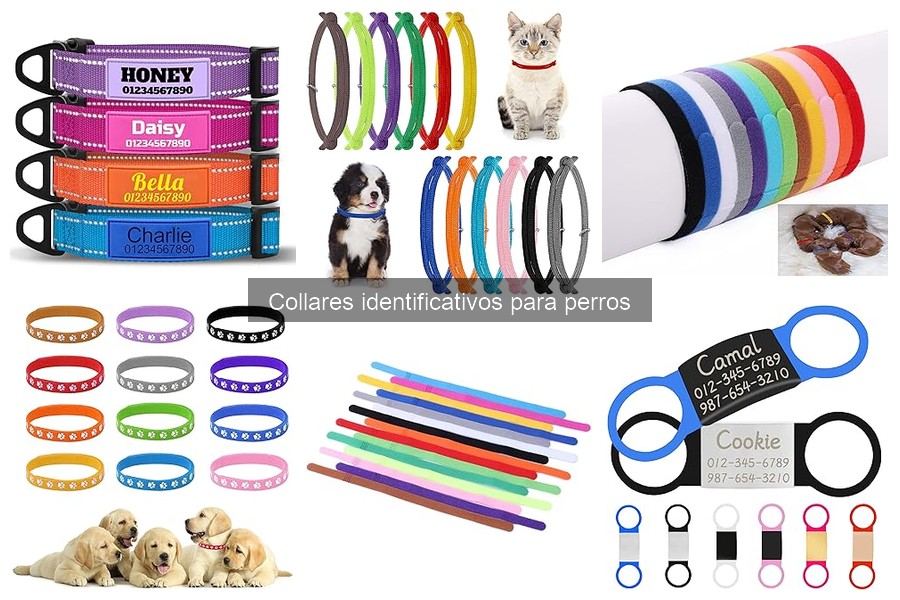 Mejores collares identificativos para perros grandes