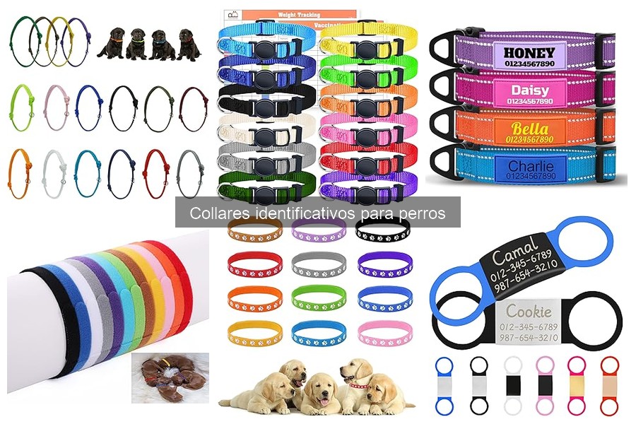 Mejores collares identificativos para perros pequeños 2023